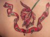 rose and ribban tattoo